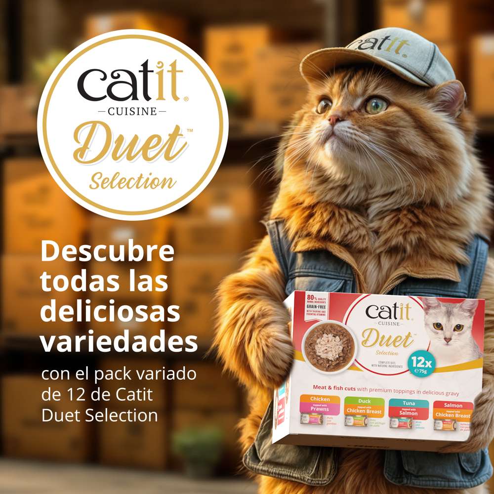 Textura doble Catit Duet pato