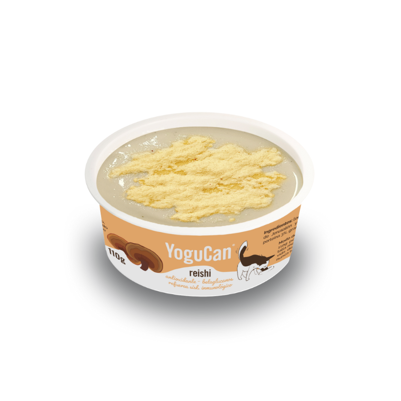 Yogur Yogucan Reishi abierto con textura cremosa
