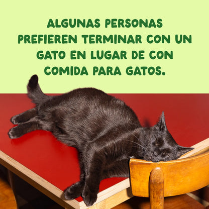 alimentacion complementaria gatos caballa
