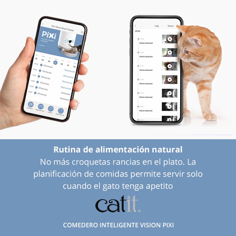 alimentador automatico gatos con camara integrada