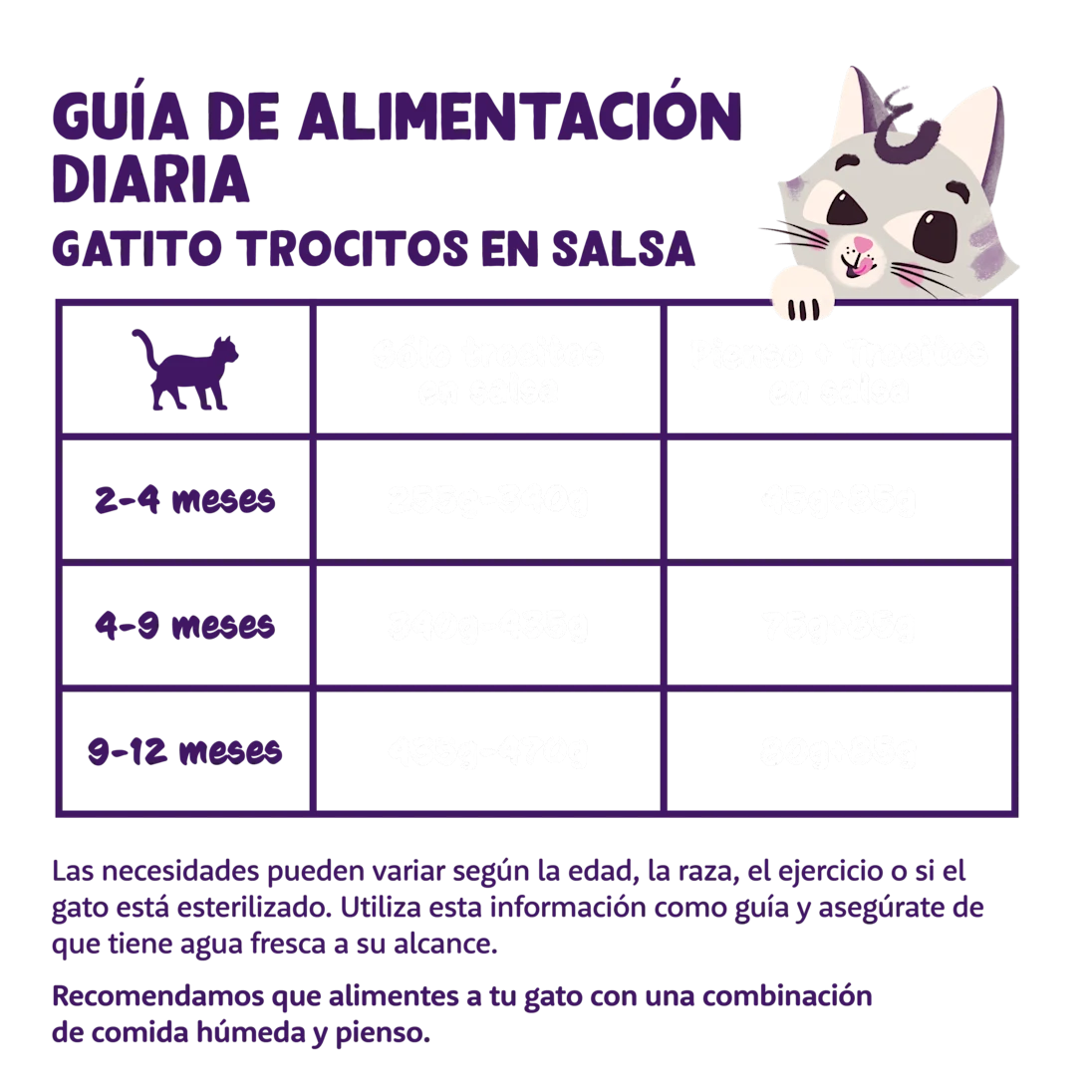 alimento gatitos crecimiento pollo pato natural