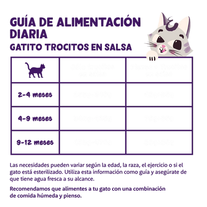 alimento gatitos crecimiento pollo pato natural