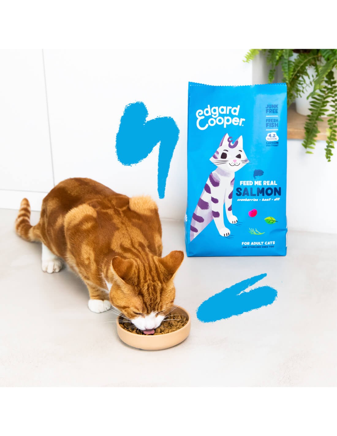 alimento gato pescado natural sin cereales croquetas