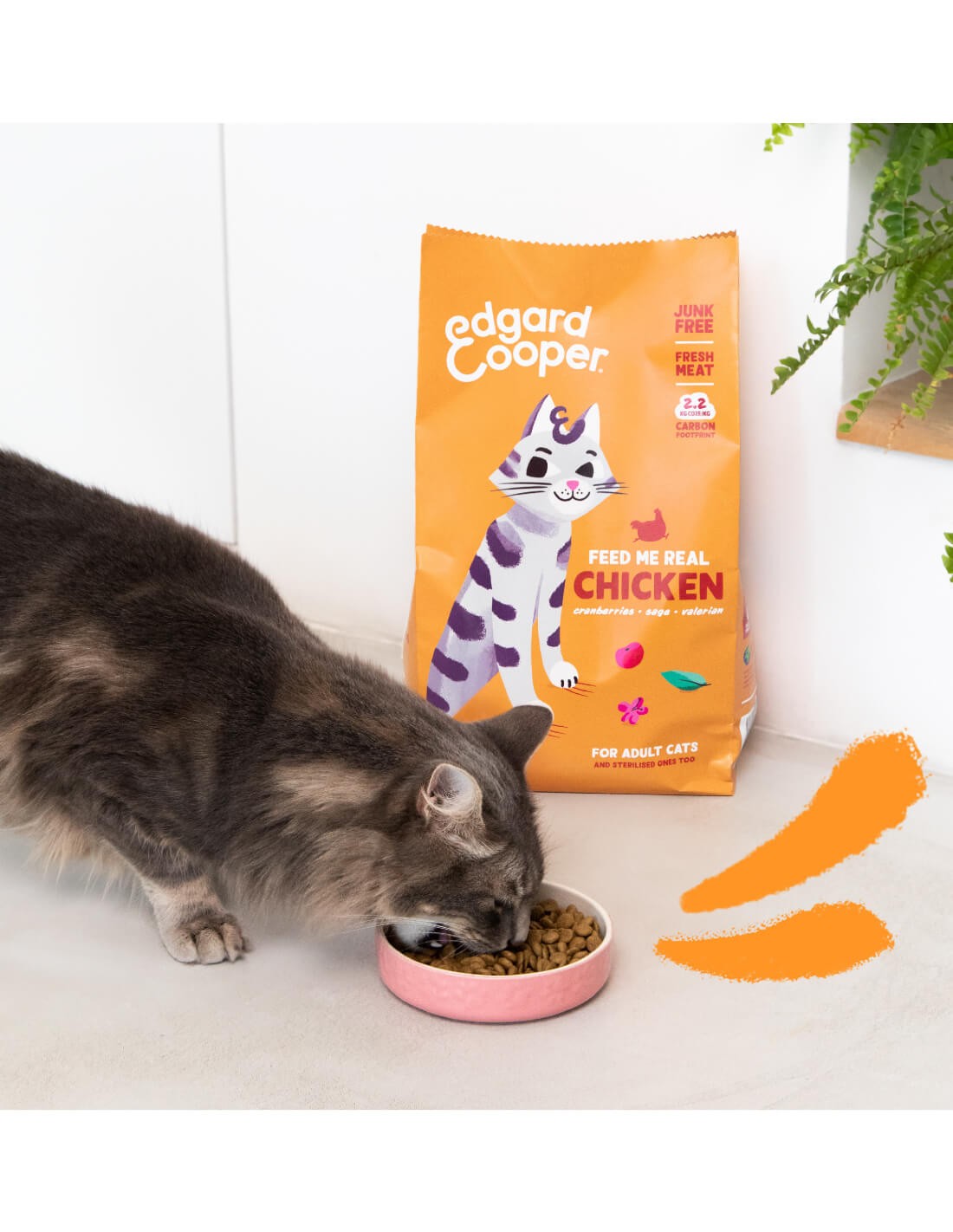alimento gato sin cereales pollo natural croquetas