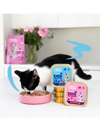alimento kitten sin cereales bacalao pollo detalle