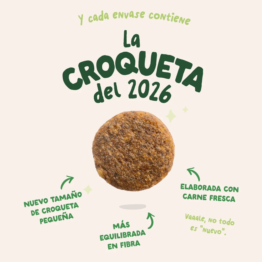 alimento perro monoproteico cordero natural