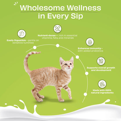 bebida gatos probioticos intestino saludable