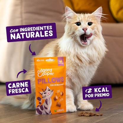bocaditos gatos crujiente cremoso pollo
