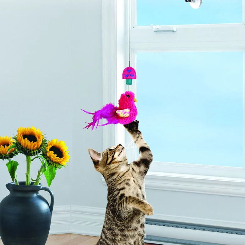 Kong | Window teaser para gatos