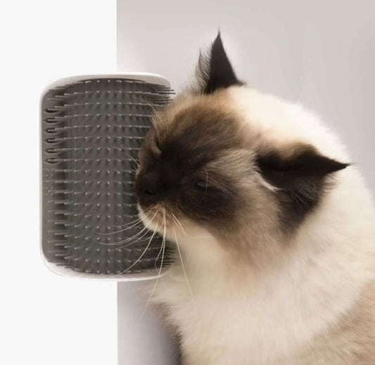 cepillo autolimpiador para gatos catit senses