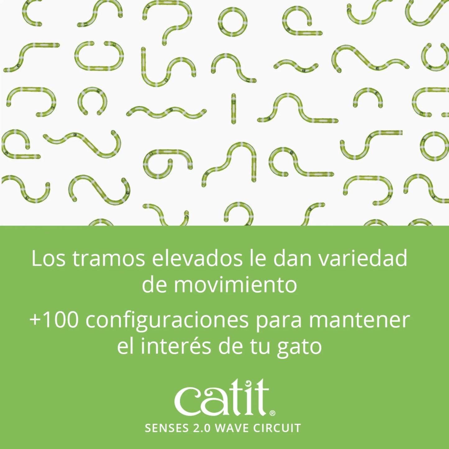 circuito para gatos con cambios de direccion
