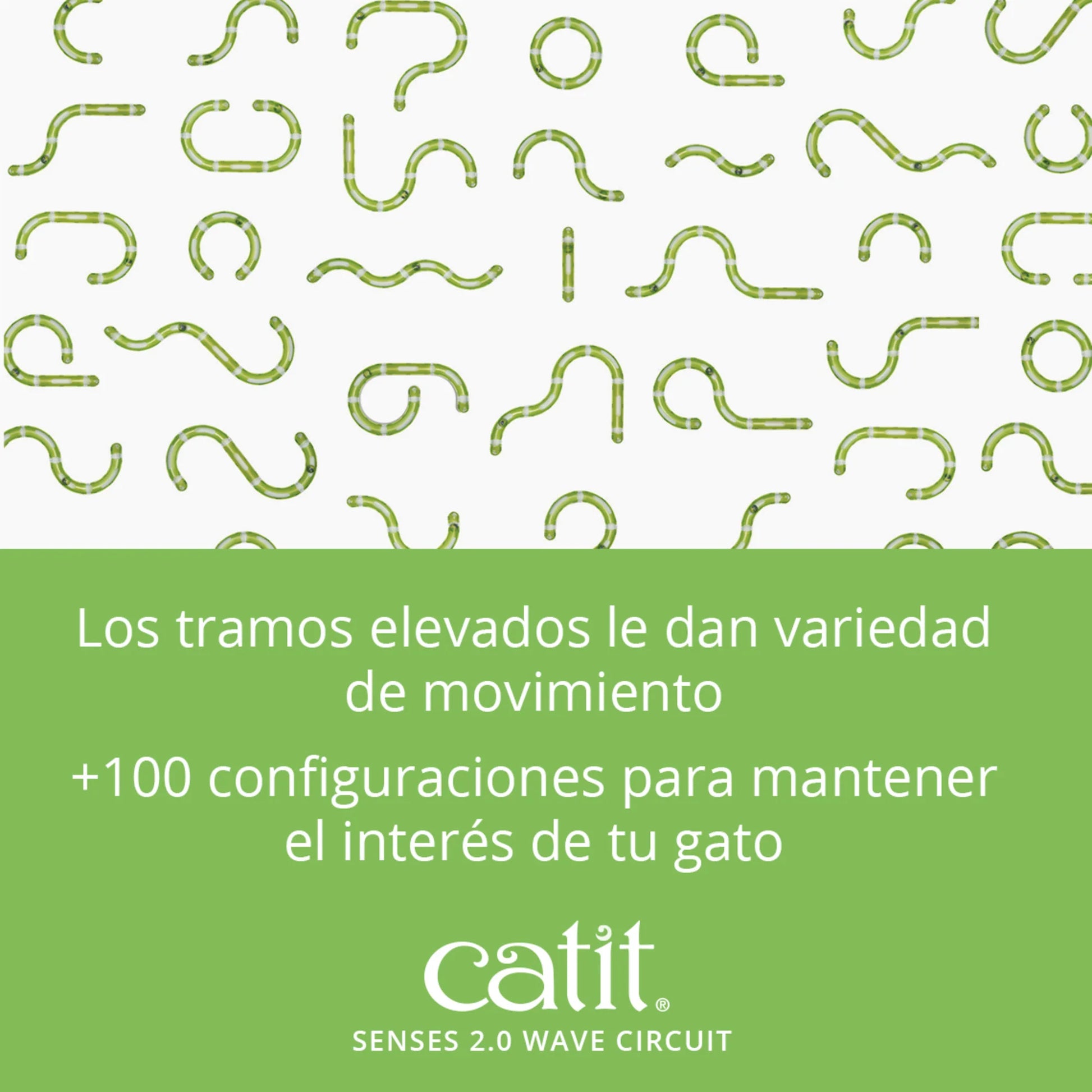 circuito para gatos con cambios de direccion
