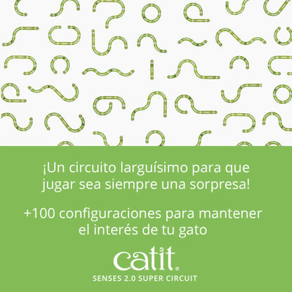 circuito para gatos con pelota en movimiento