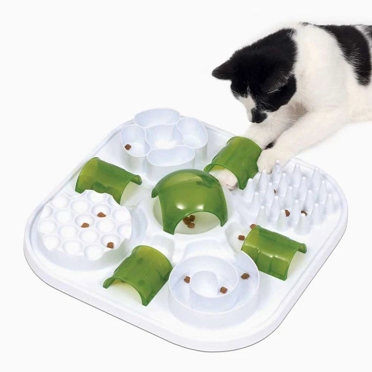 comedero para gatos que estimula la mente