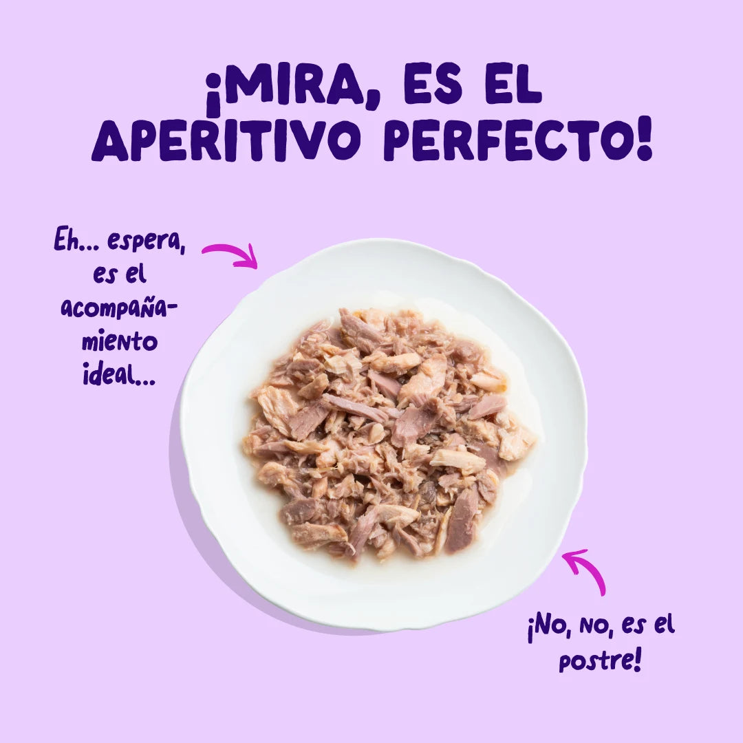 comida gatos salmon atun MSC
