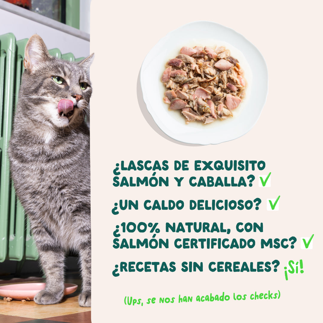 comida gatos sin cereales pescado natural