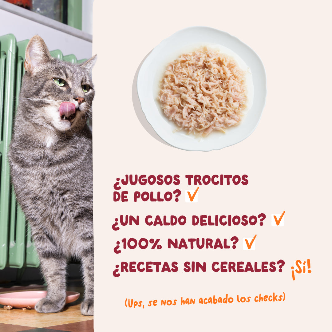 comida gatos textura lascas pollo