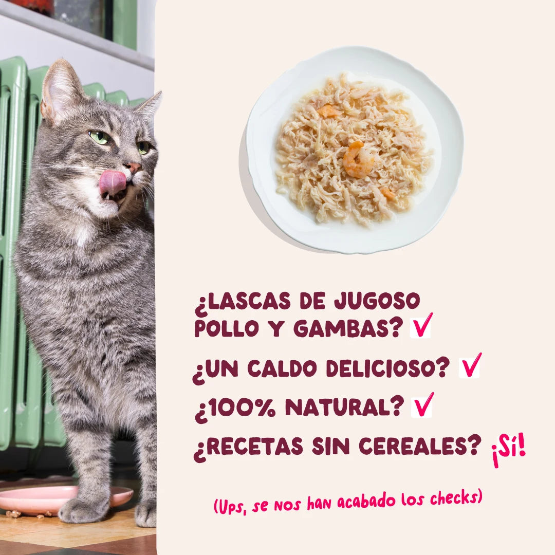 comida gatos textura lascas pollo gambas