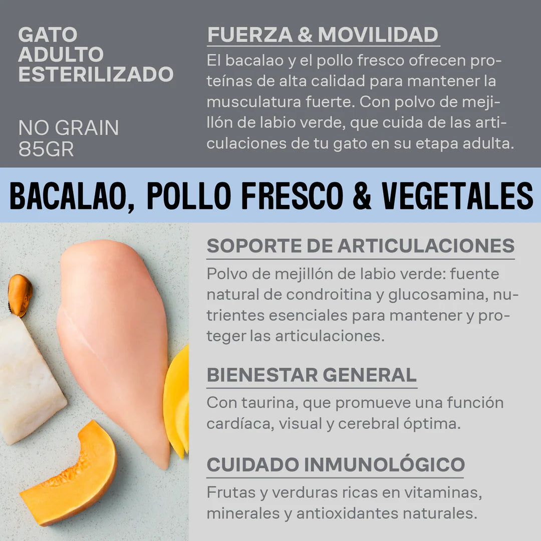 comida húmeda movilidad gatos