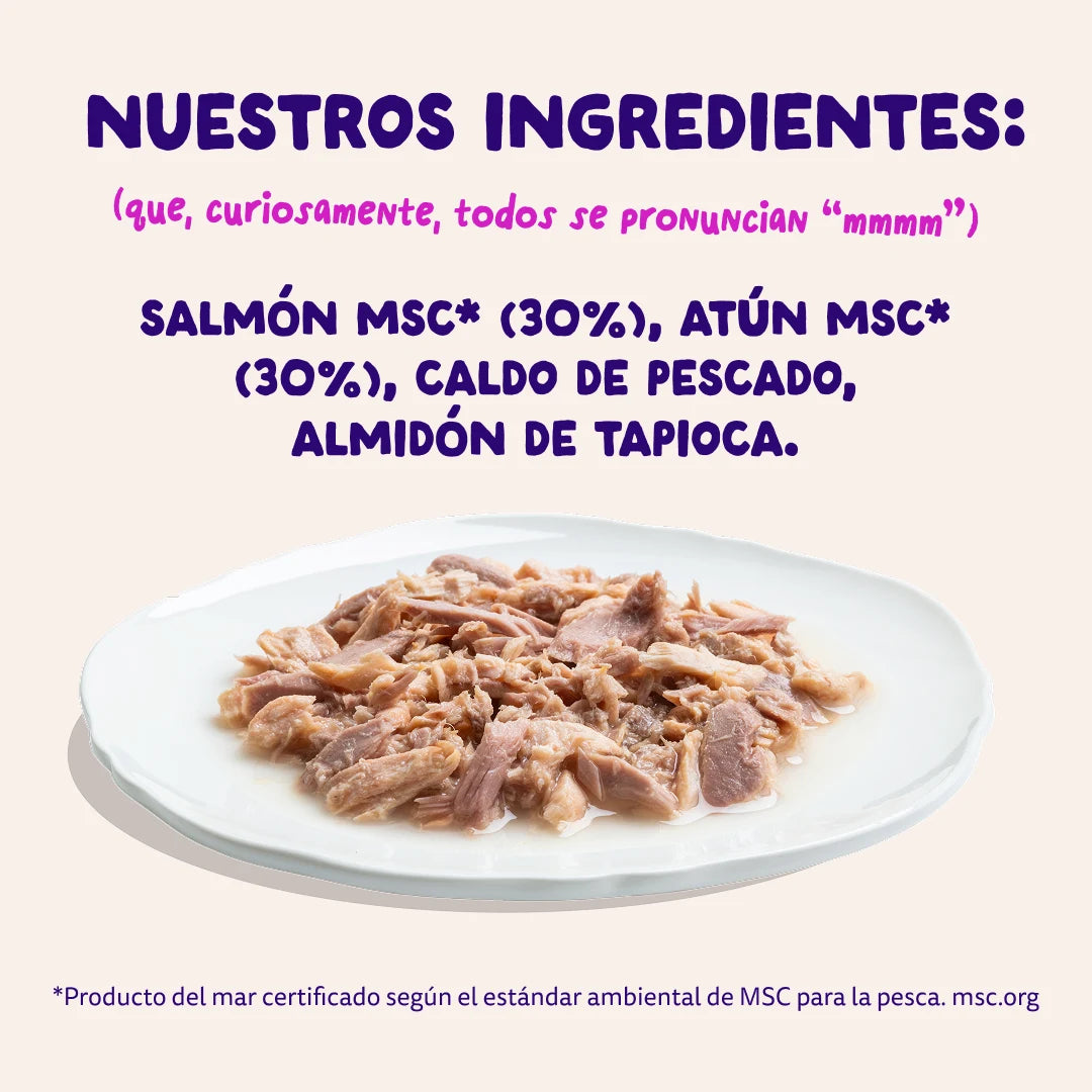 comida humeda gatos alta humedad pescado
