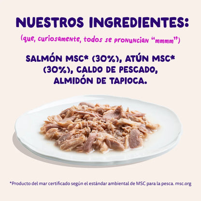 comida humeda gatos alta humedad pescado
