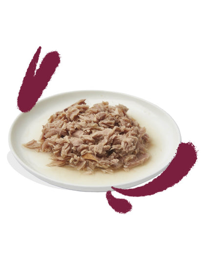 comida humeda gatos atun pollo textura filetes