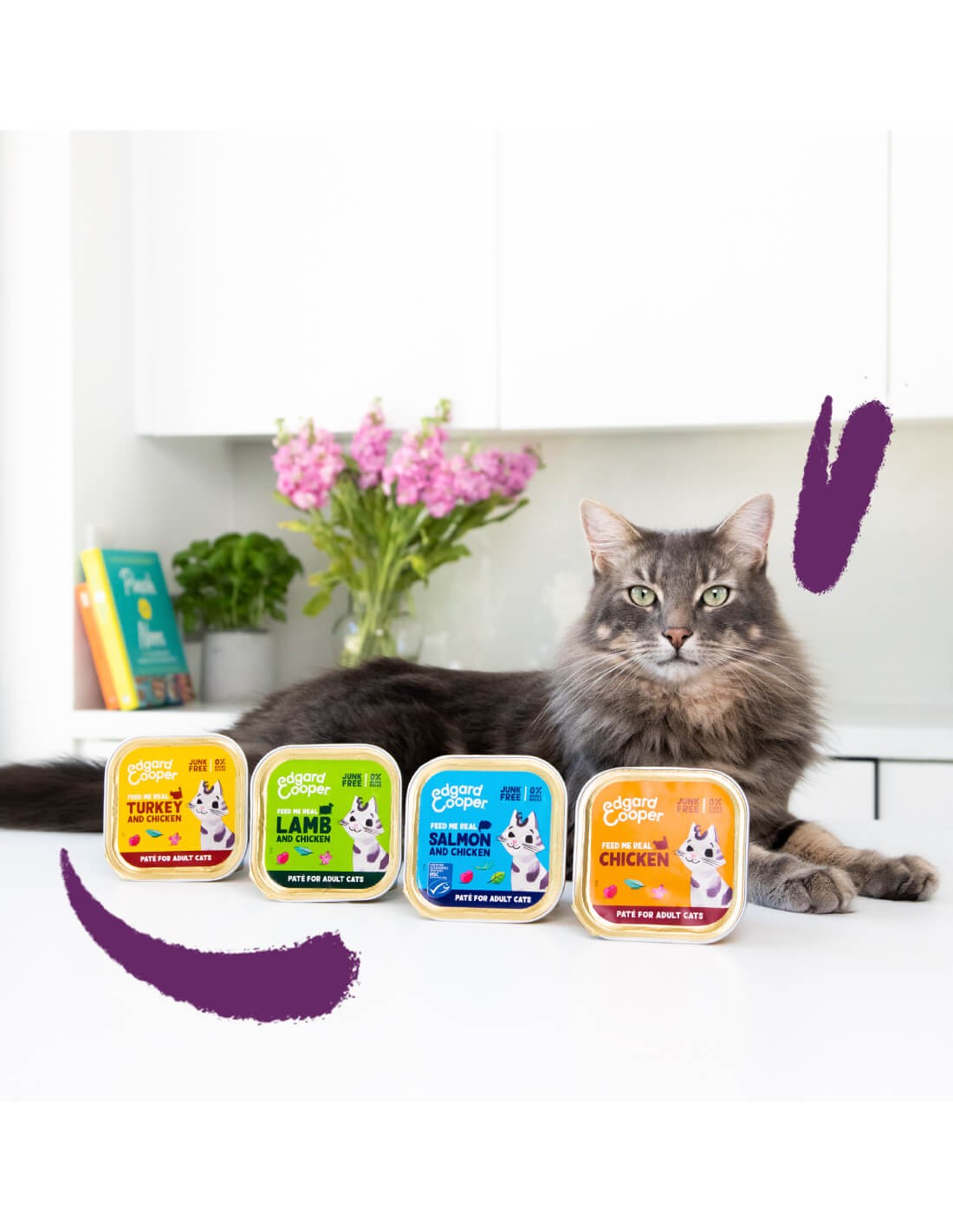 comida humeda gatos con valeriana y salvia detalle