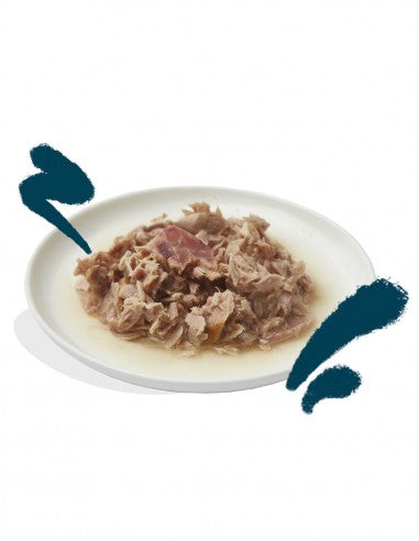 comida humeda gatos filetes atun calamar textura