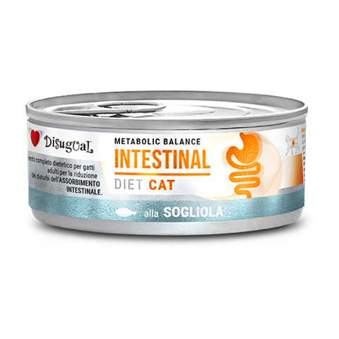 comida humeda gatos gastrointestinal lenguado disugual