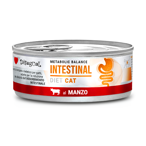 comida humeda gatos intestinal ternera digestiva