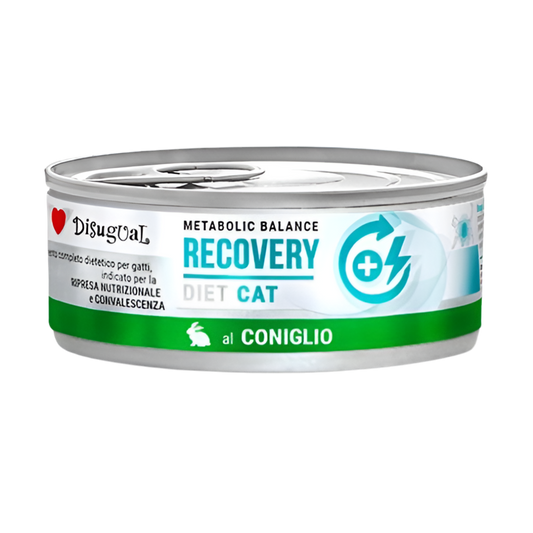 comida humeda gatos recovery conejo