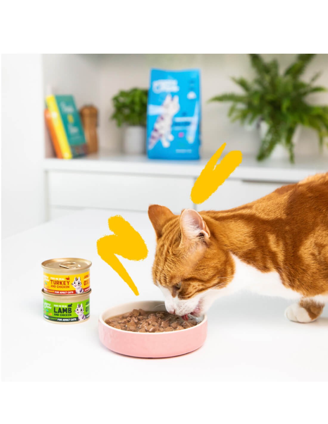 comida humeda gatos sin cereales pavo pollo