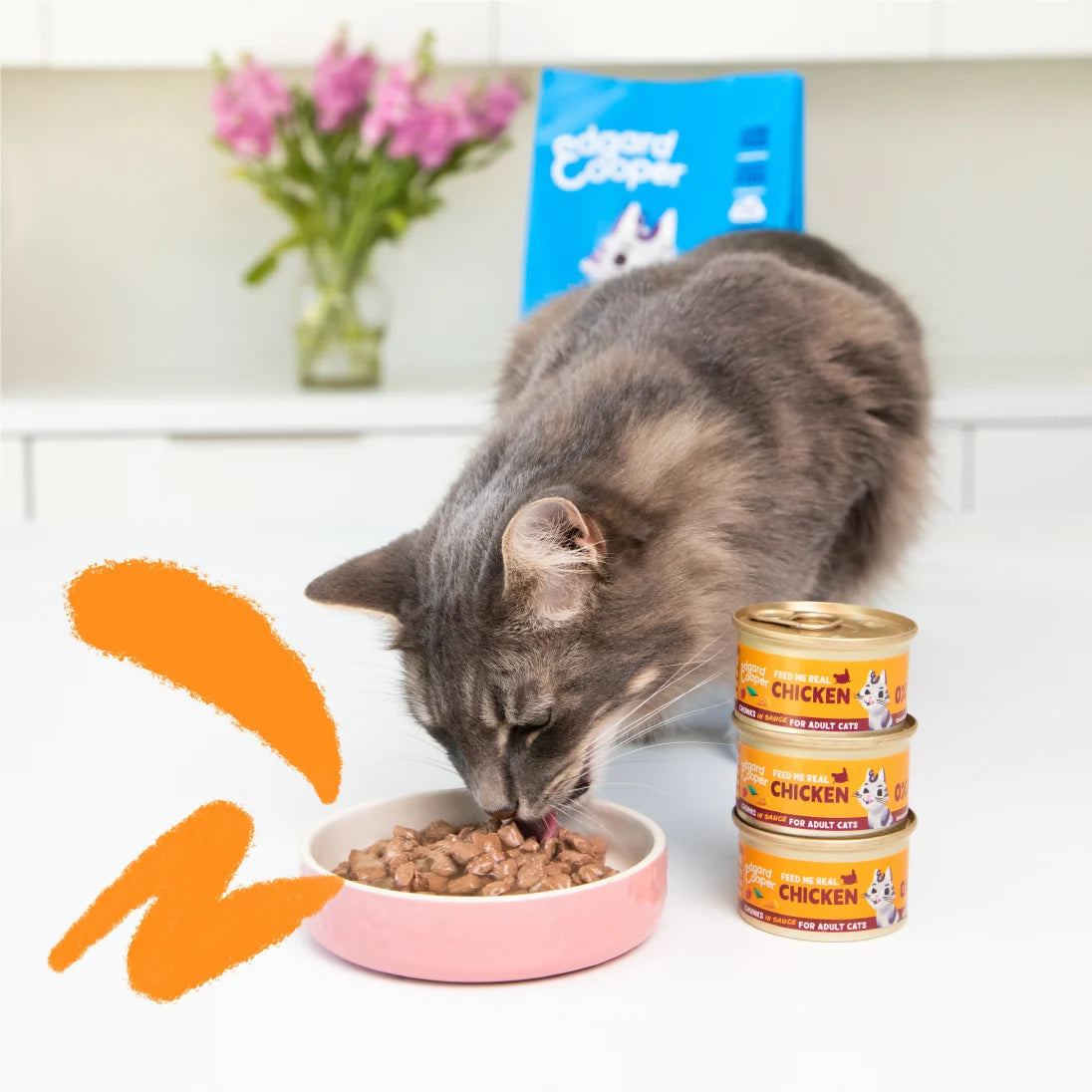 comida humeda gatos sin cereales pollo detalle