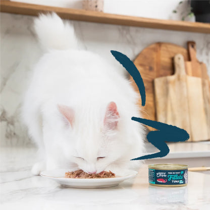 complemento gatos pescado atun calamar natural
