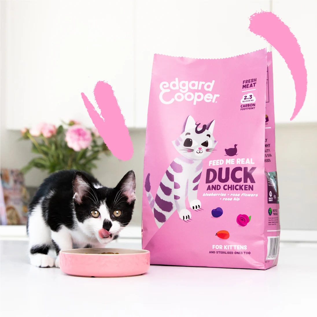 croquetas gatitos pollo pato sin cereales detalle
