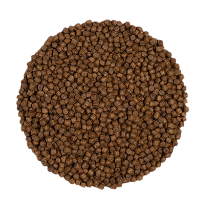 croquetas gatitos sin cereales pollo pavo detalle