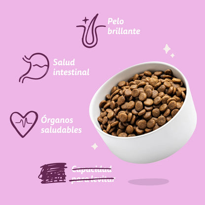 croquetas perro con boniato y pato detalle