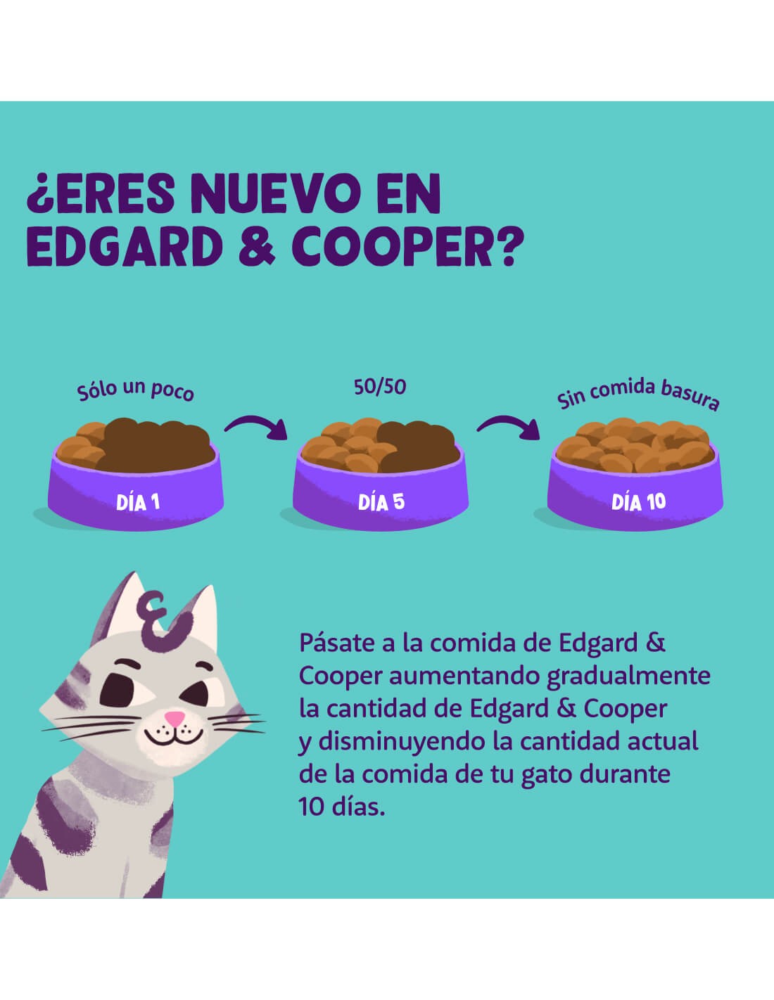 Edgard & Cooper | Senior - Pollo y pavo con arándanos y salvia (2kg)