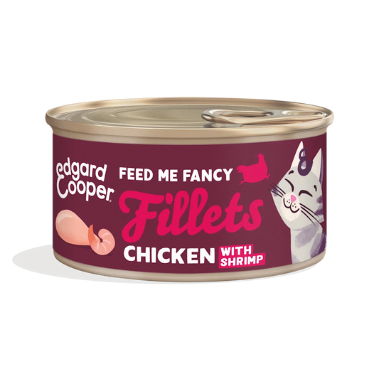 filetes edgard cooper pollo gambas gatos
