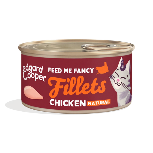 filetes edgard cooper pollo gatos
