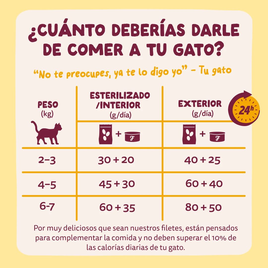 filetes jugosos gatos edgard cooper pollo pavo
