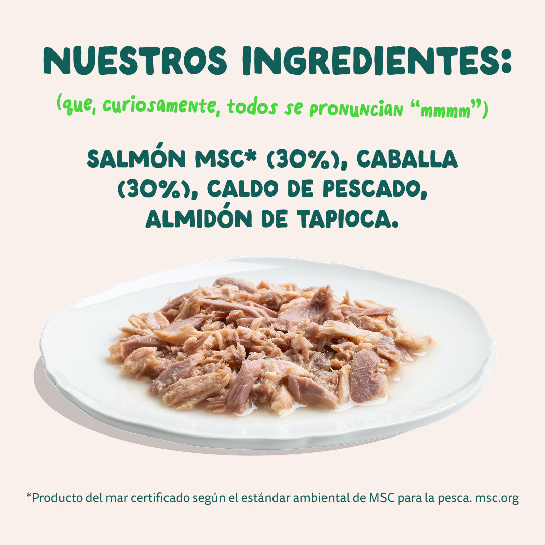 filetes jugosos gatos salmon caballa
