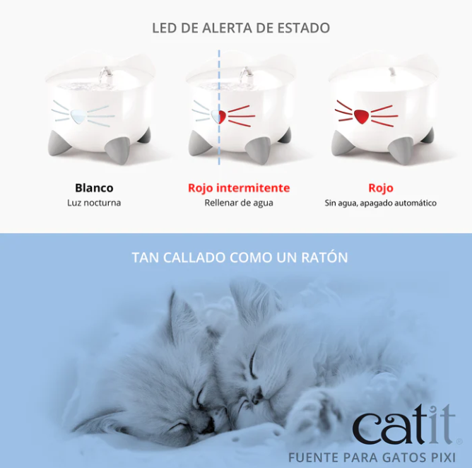 fuente gatos higiénica