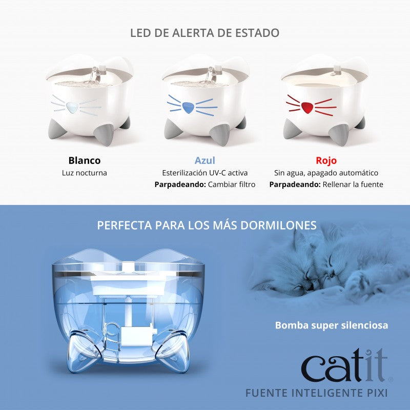 fuente gatos silenciosa