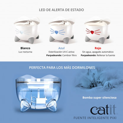 fuente gatos silenciosa