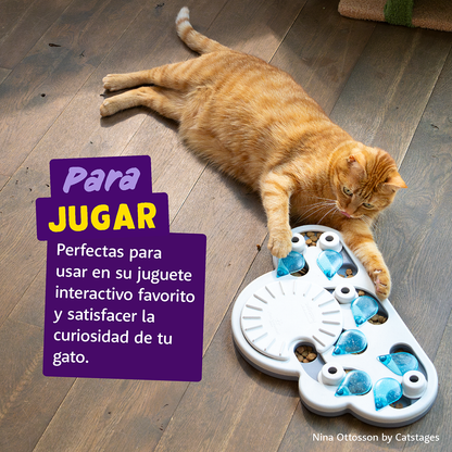 galletitas gatos con hierba gatera salmon