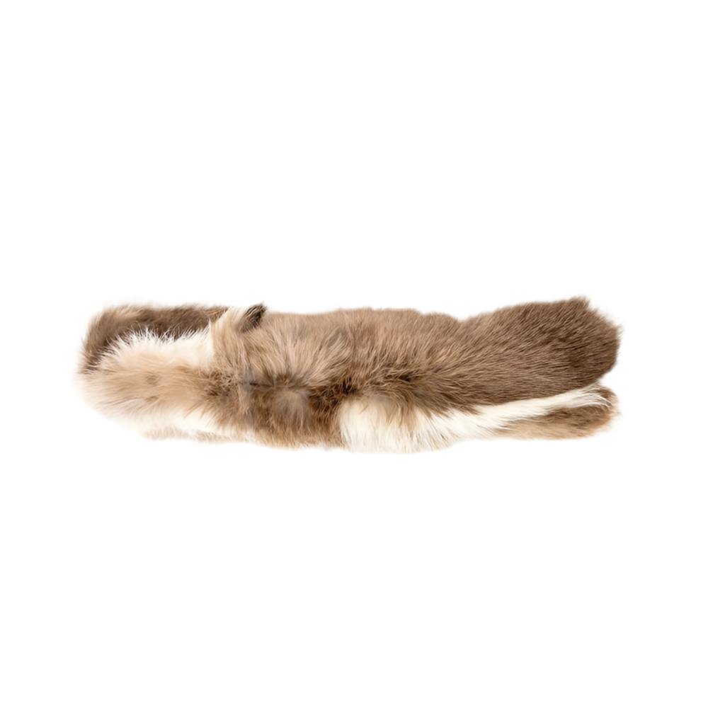gloria eero gatos