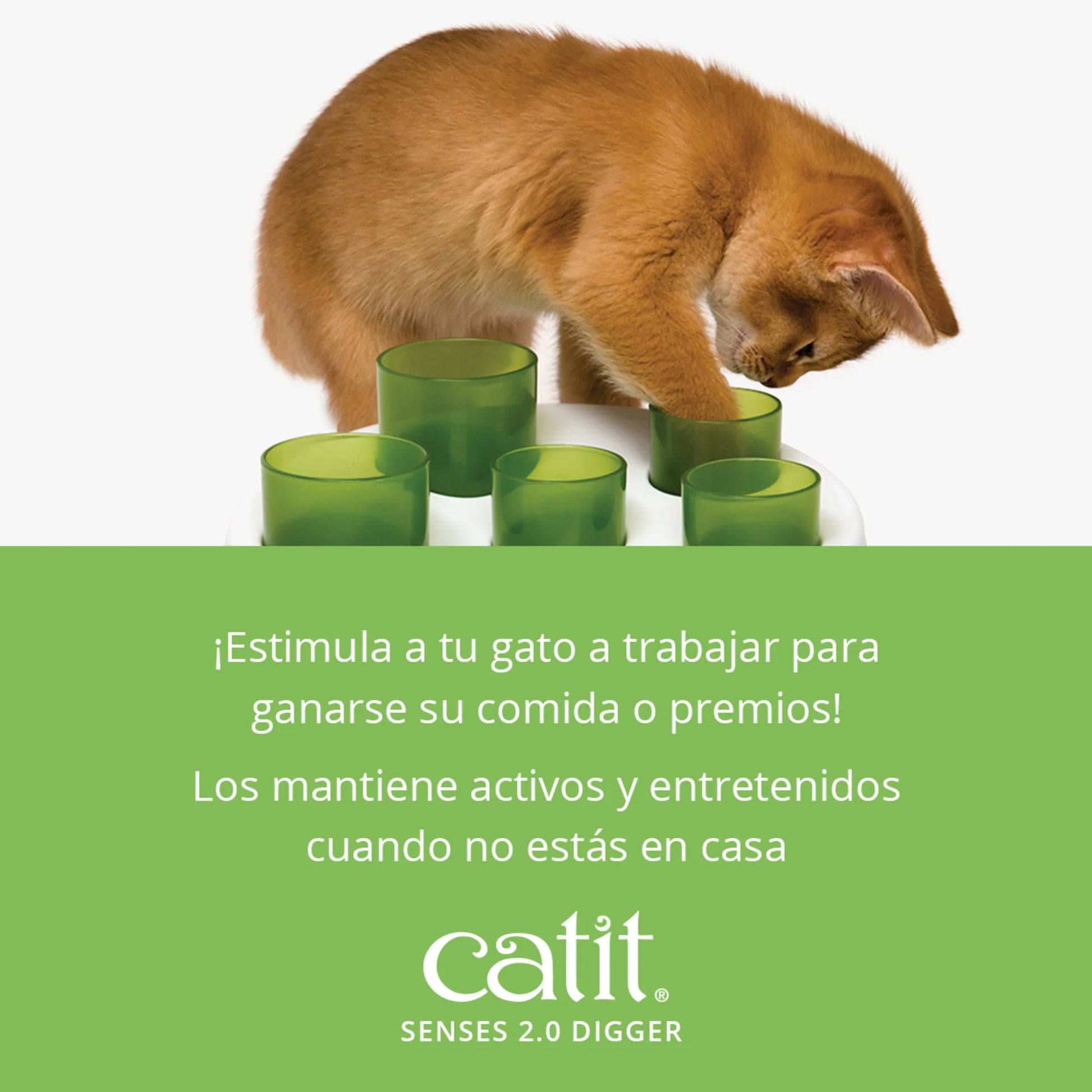 juguete alimentacion gatos con tubos de comida