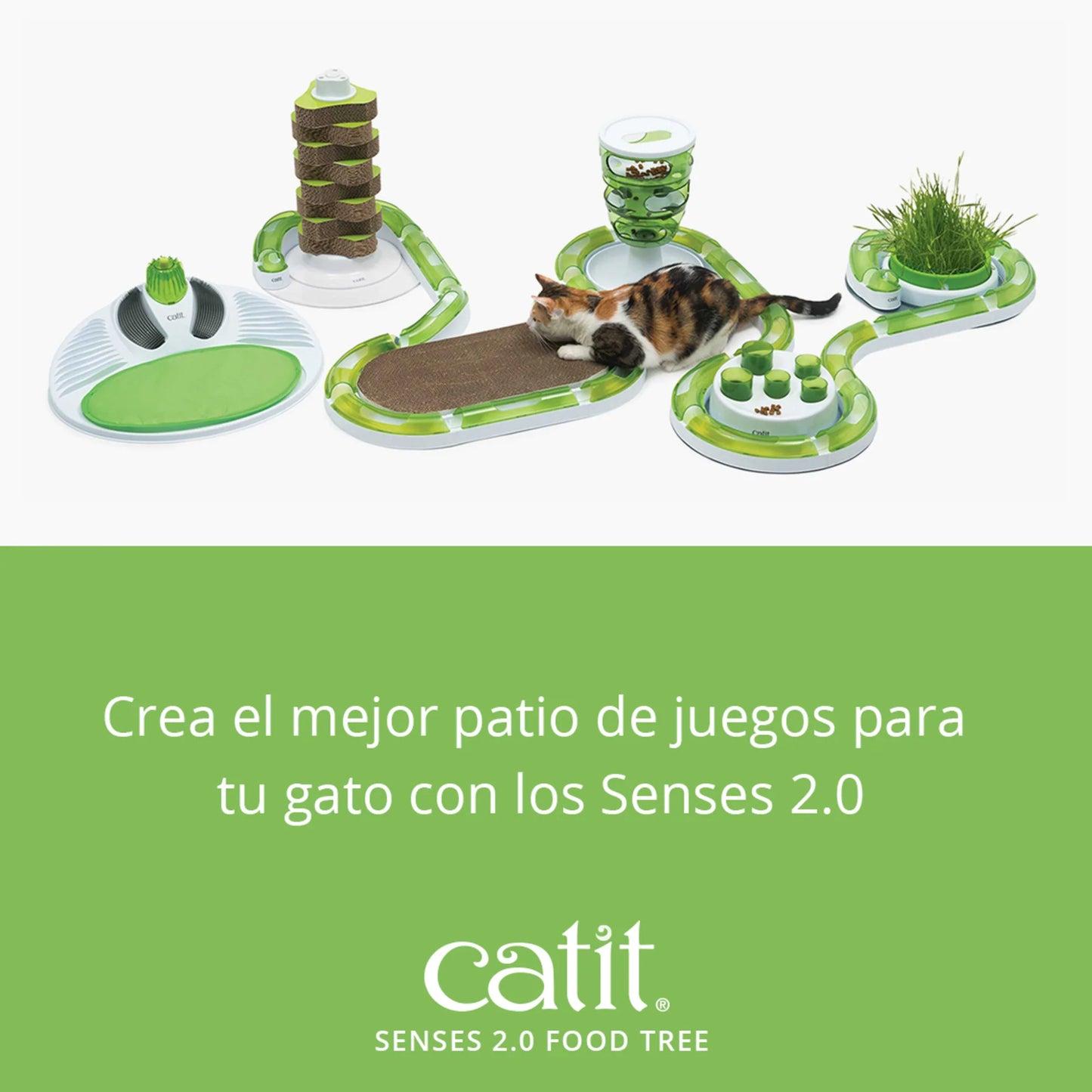 juguete inteligencia gatos con snacks