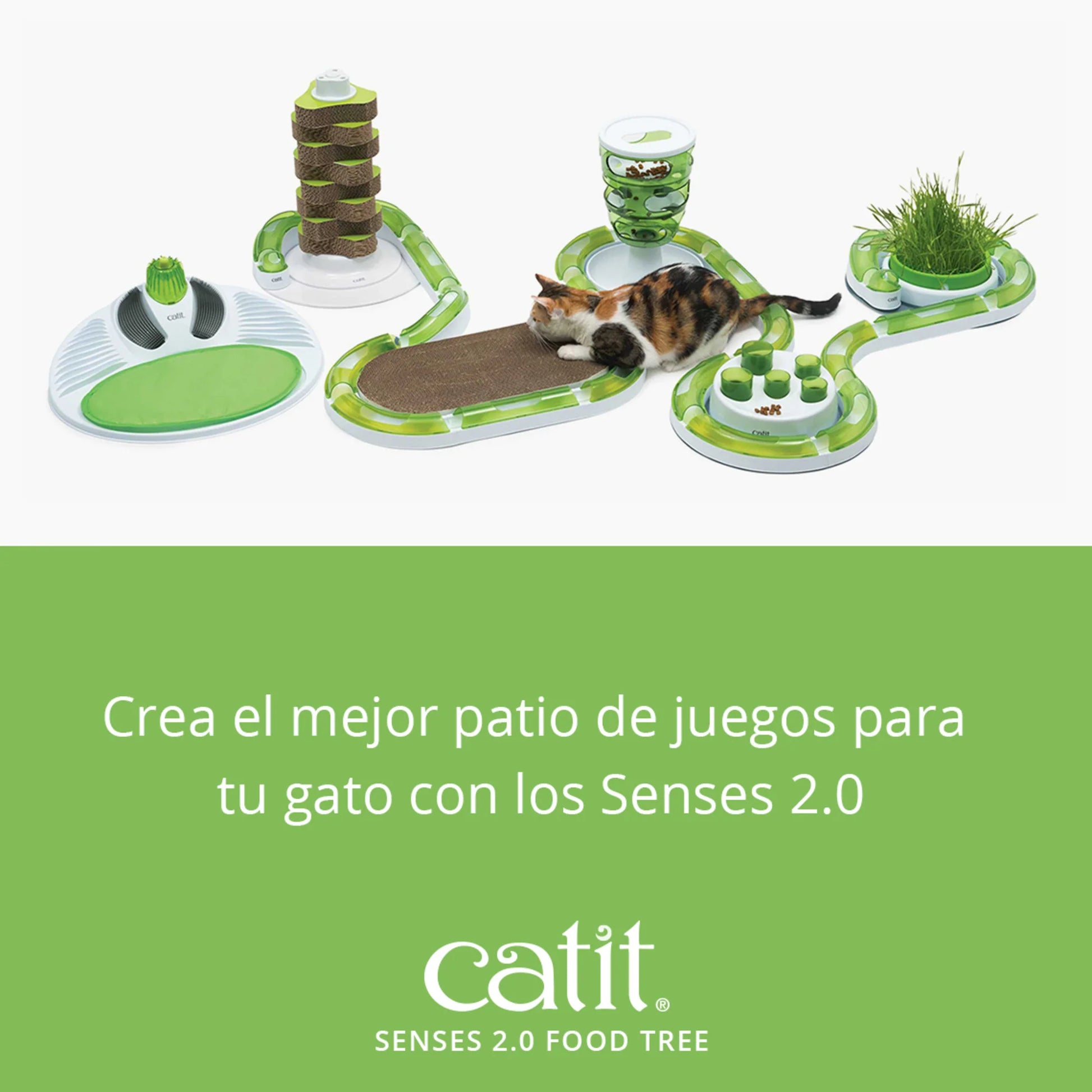 juguete inteligencia gatos con snacks